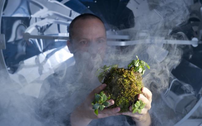 A performer stands in a laboratory setting and observes a ball of plants in the fog