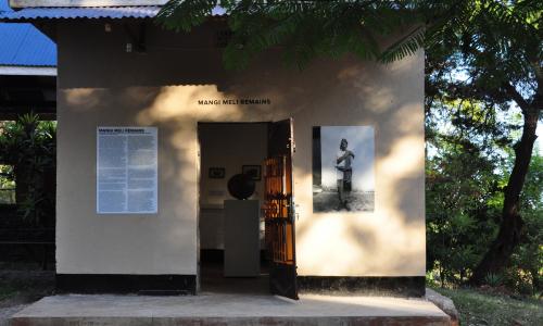 Mangi Meli image