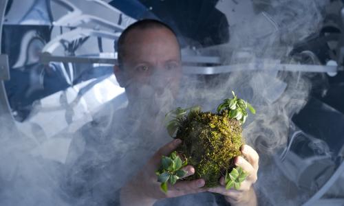 Ein Performer steht im Laborsetting und betrachtet eine Kugel aus Pflanzen im Nebel